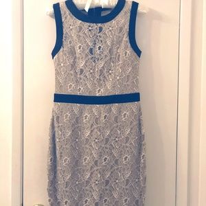 Lace cocktail or office dress